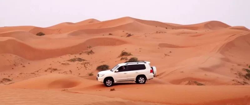 اكتشف السعودية بسيارتك: أفضل مسارات القيادة على الطرق الوعرة في المملكة