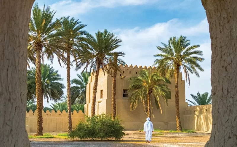 واحات العين: تراث عالمي يلهم مستقبل الاستدامة