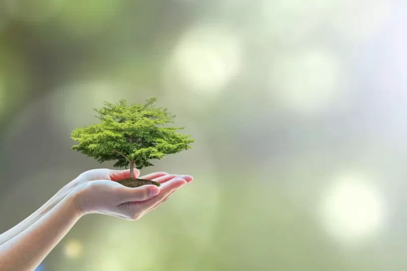 كل ما تود معرفته عن المسار الصديق للبيئة من جوجل