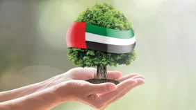 الاستدامة في الإمارات: التزام نحو مستقبل أفضل