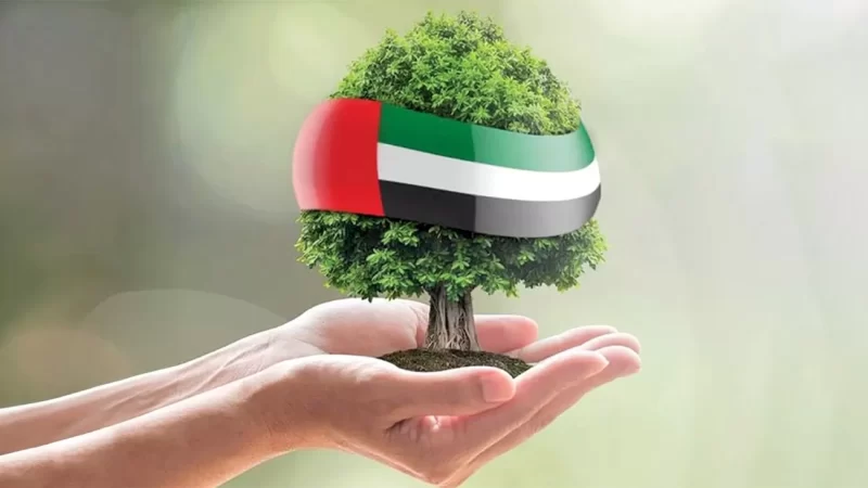 الاستدامة في الإمارات: التزام نحو مستقبل أفضل