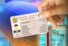 تجديد رخصة القيادة في الشارقة: الأسئلة الشائعة
