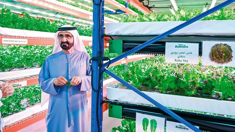 كيف تعزز الإمارات الأمن الغذائي من خلال الابتكار الزراعي؟