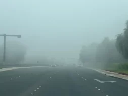 القيادة الآمنة في الضباب: السلامة أولاً