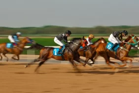 موسم سباقات الخيل يعزز مكانة الشارقة في عالم الفروسية