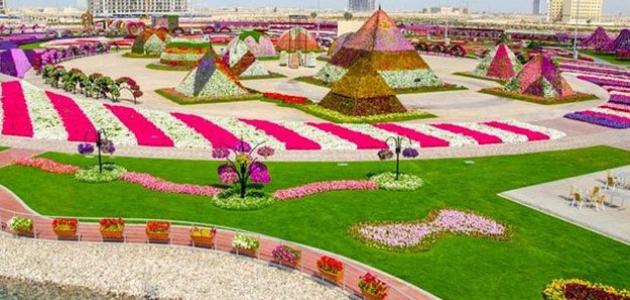 استكشف الابتكار في حديقة الزهور في دبي: تكنولوجيا وإبداع
