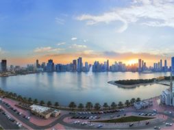 لماذا يجب زيارة محميات الحيوانات في الشارقة؟