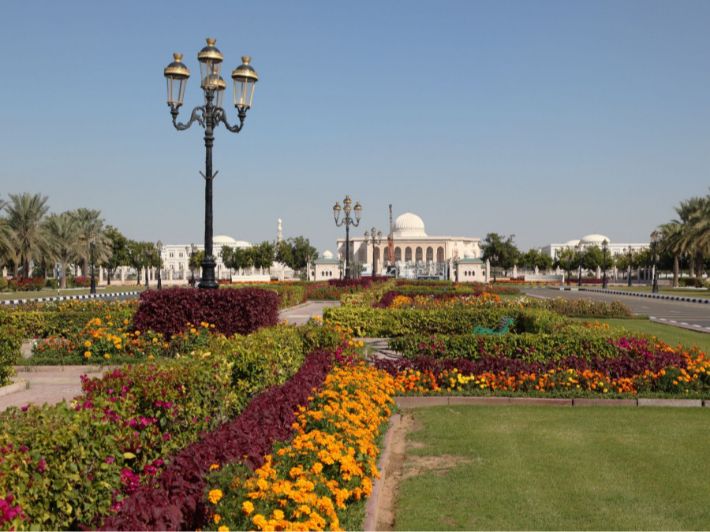 الاستثمار في مستقبلك: تكاليف دراسة التمريض في جامعة الشارقة