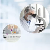 الرعاية الصحية في أبوظبي: برنامج مكافأة الجودة كمعيار جديد