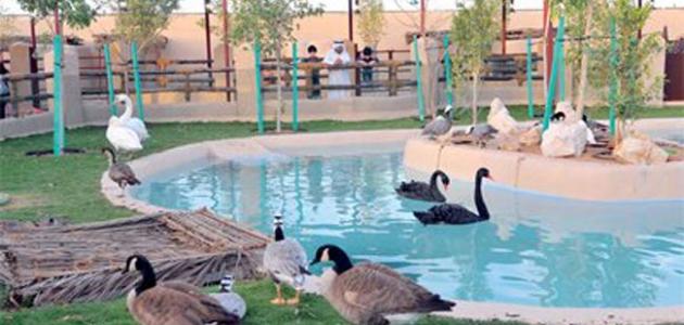 حديقة الحيوان في دبي: أكثر من مجرد ترفيه