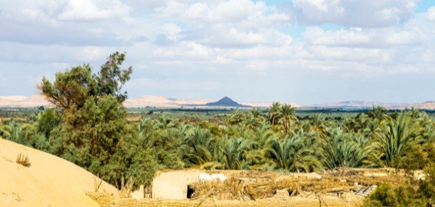 الواحات البحرية: جمال الطبيعة وتراث الحضارة في مكان واحد