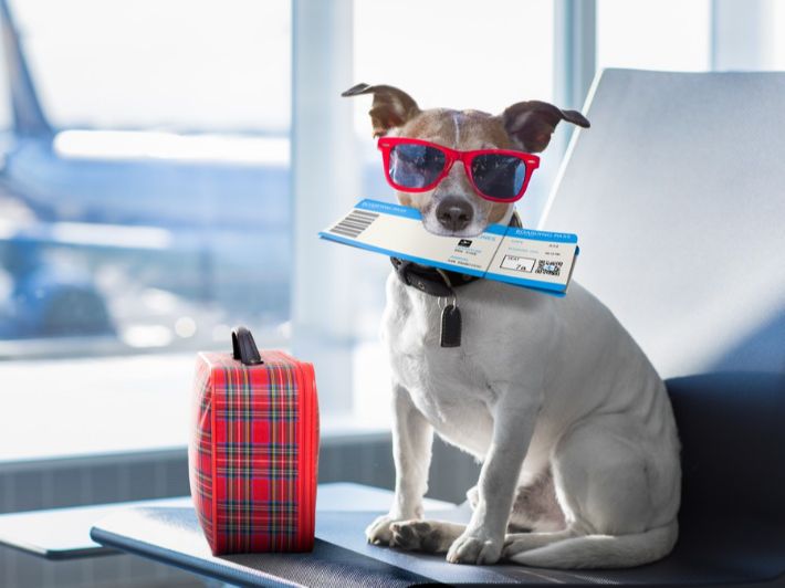 مطار الغردقة الدولي: دليلك لأفضل تجربة سفر