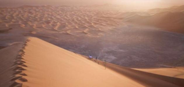 كنوز الطبيعة في الإمارات: بين التطور العمراني والحفاظ على البيئة