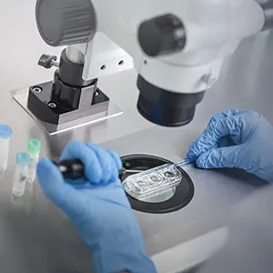 التلقيح الاصطناعي في أبوظبي: دعم ورعاية متكاملة