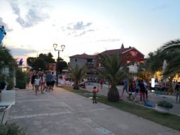 جزيرة دلما: كل ما تحتاج معرفته لرحلة لا تُنسى