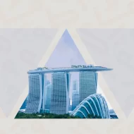 الذكاء الاصطناعي والتعليم: كيف يستفيد الطلاب من التكنولوجيا في الإمارات وسنغافورة؟