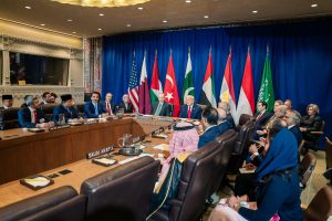 من نيويورك إلى غزة: جهود الإمارات لإنهاء الحرب تتواصل