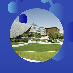 برنامج بكالوريوس الذكاء الاصطناعي: فرص وظيفية واعدة