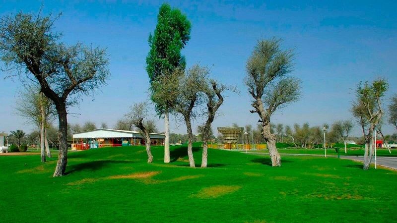 حجز الحدائق في أبوظبي: استمتع بفعاليتك في الهواء الطلق