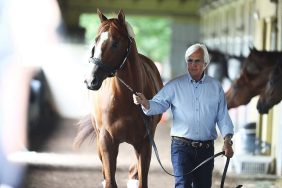 خيل السباق: نظرة على مستقبل الفروسية والسباقات