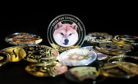 كل ما يجب أن تعرفه عن عملات الميمز المشفرة قبل الاستثمار