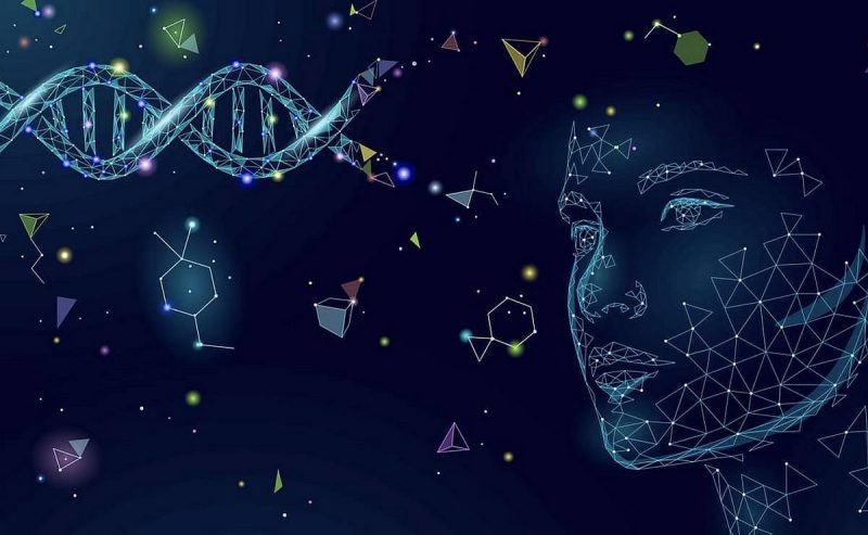 الإمارات: فحص الحمض النووي لرسم خرائط الأصول الأبوية