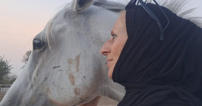 إفطار رمضاني وعلاج بالطبيعة: تجديد الروح مع الخيول