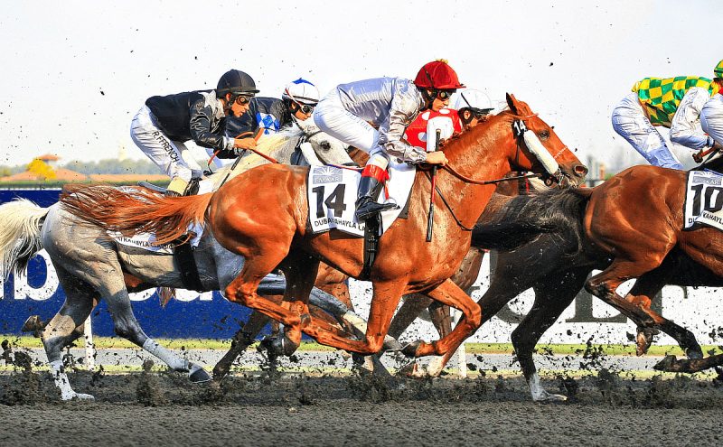 كأس دبي العالمي: قصة سباقات الخيل في دبي