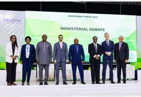 الطاقة المتجددة: رؤية الإمارات للتنمية المستدامة في أفريقيا