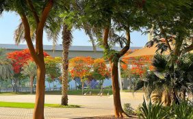 تحليل شامل: مبادرة المليون شتلة وأهداف التنمية المستدامة