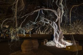 معرض منار أبوظبي: نقطة تحول في المشهد الفني والثقافي للإمارات