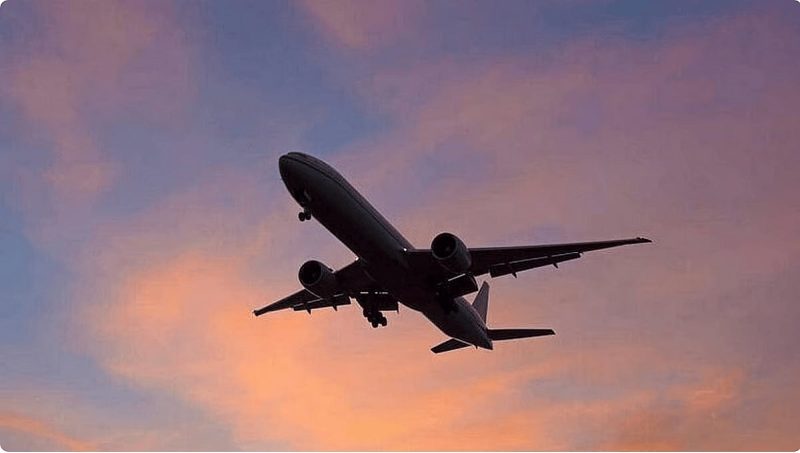 إغلاق المجال الجوي: تأثيره الاقتصادي على قطاع الطيران بين الإمارات والهند