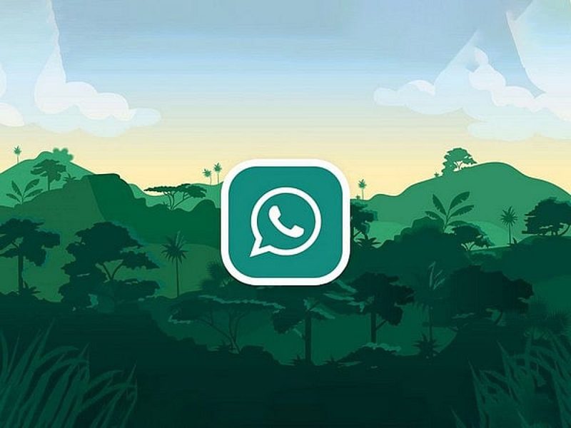 ميزة اسم المستخدم في واتساب: مستقبل الخصوصية هنا