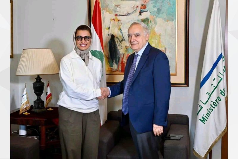 الإمارات تدعم الاقتصاد اللبناني: مبادرات جديدة لتعزيز النمو