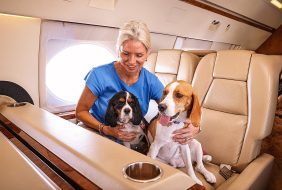 رفاهية الحيوانات الأليفة: هل ستستمر خدمات الحيوانات الأليفة الفاخرة في الازدهار في الإمارات؟