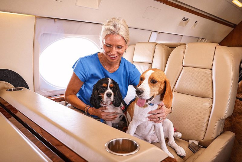 رفاهية الحيوانات الأليفة: هل ستستمر خدمات الحيوانات الأليفة الفاخرة في الازدهار في الإمارات؟