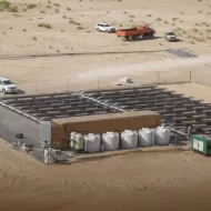 الابتكار البيئي: كيف تقود أبوظبي مسيرة الاستدامة؟