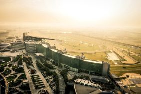 الخيول العربية في الإمارات: استثمار في التراث ومستقبل الفروسية