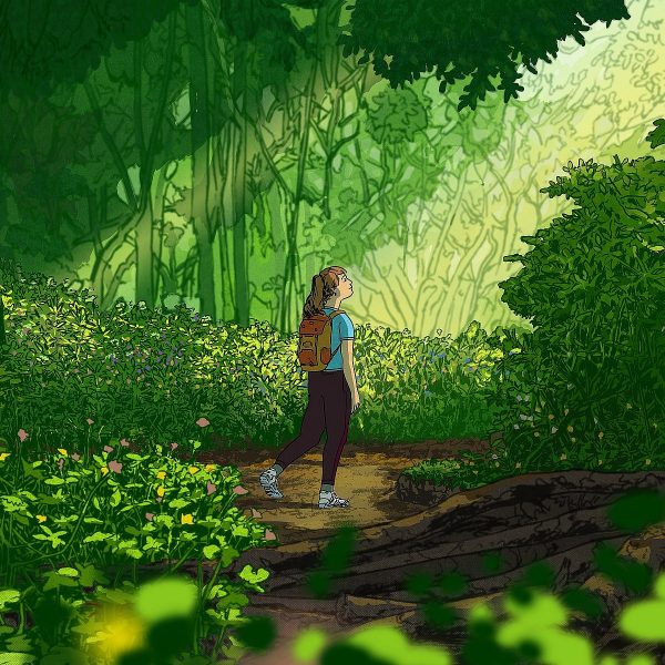 العلاقة بين تأثير الطبيعة على العقل والصحة النفسية