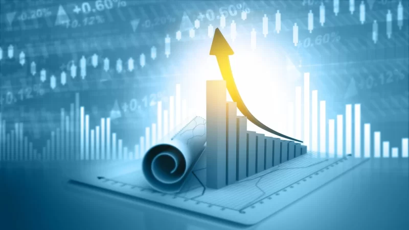 كيف يعكس الأداء المالي رؤيتها للنمو المستدام في 2025؟