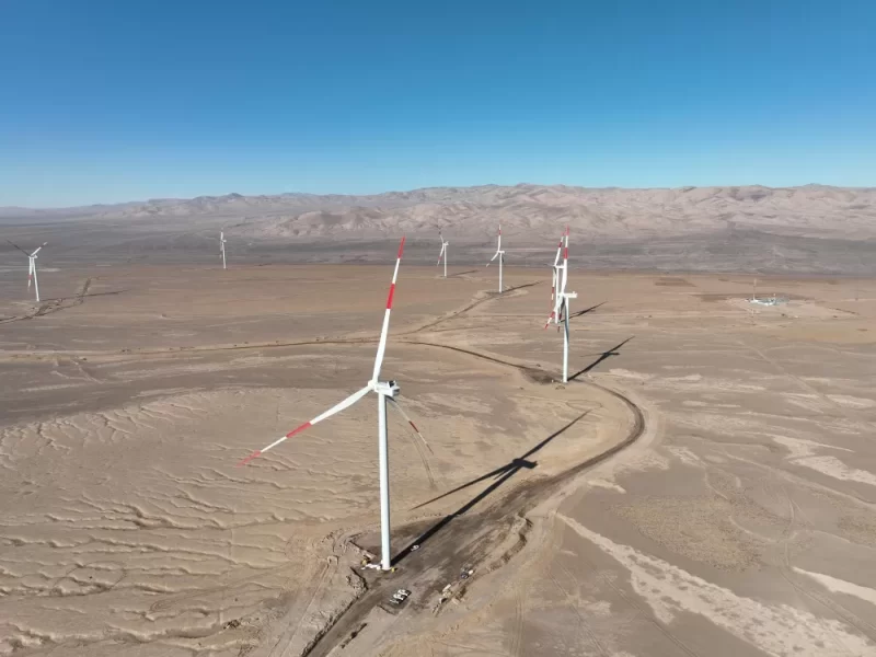 الطاقة المتجددة: الإمارات تقود التحول في يناير 2025