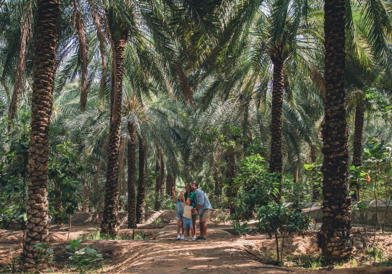 تراث رأس الخيمة: دليل الزائر لاكتشاف الجواهر الثقافية المخفية