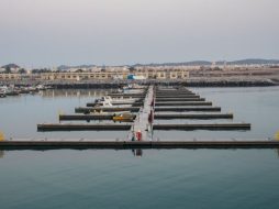 جزيرة دلما: بين الماضي والحاضر في دولة الإمارات