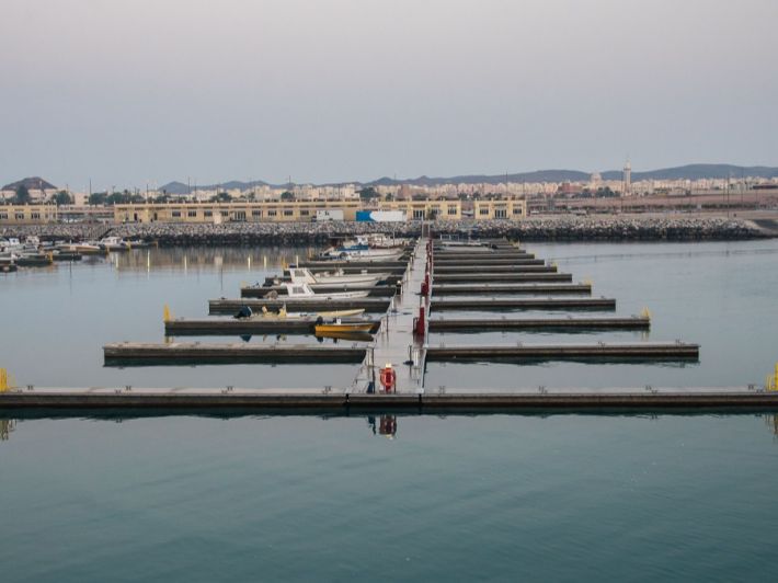 جزيرة دلما: بين الماضي والحاضر في دولة الإمارات
