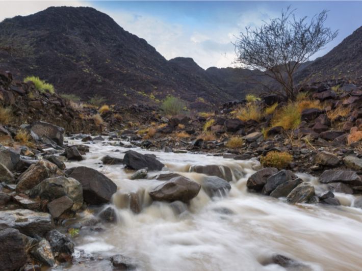 اكتشف كنوز الإمارات: وادي شوكة مثالاً