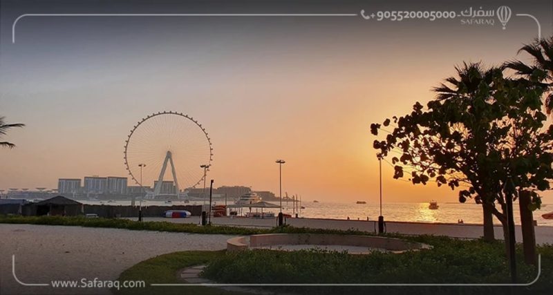شواطئ دبي: دليل المسافر