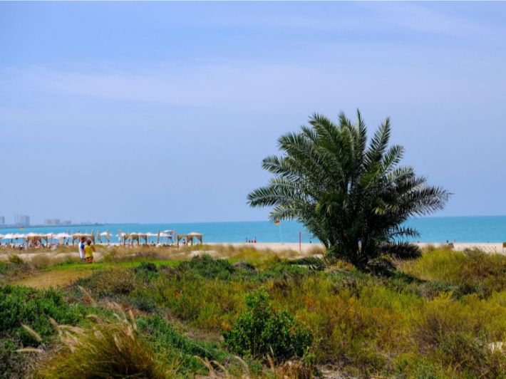 جزيرة السعديات: دليلك لأفضل الوجهات السياحية في أبوظبي
