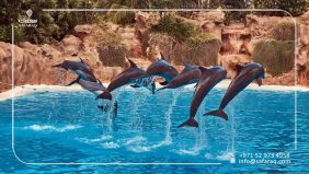 السياحة في دبي: خليج الدلافين وأهم الأماكن السياحية القريبة