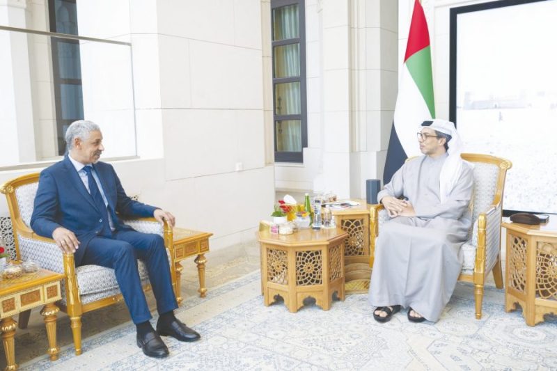 توسيع آفاق التعاون التنموي بين الإمارات والدول الأفريقية