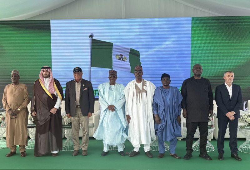 التعاون في قطاع الطاقة: الإمارات تقود التنمية في نيجيريا